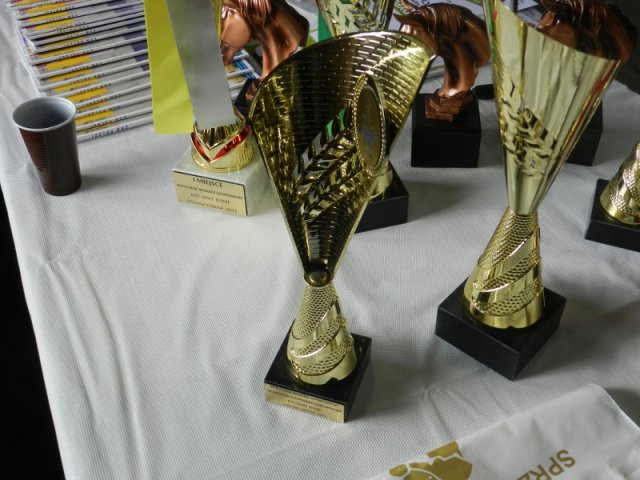 Rajd Mszana Górna 2015
